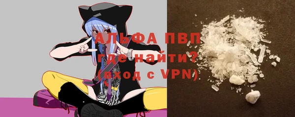прущие грибы Арсеньев