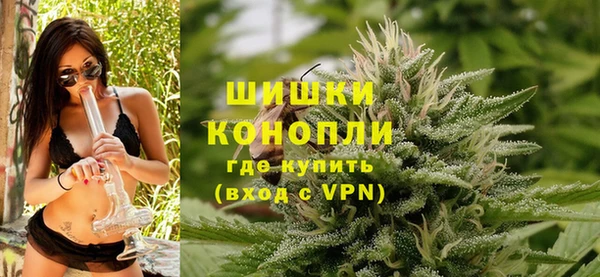 прущие грибы Арсеньев