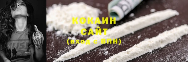 прущие грибы Арсеньев