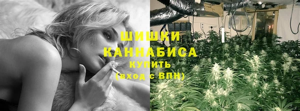 ГАЛЛЮЦИНОГЕННЫЕ ГРИБЫ Армянск