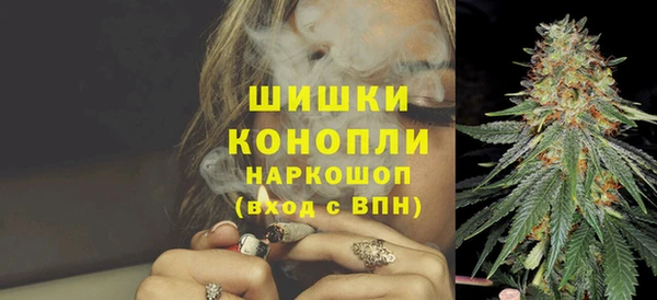 прущие грибы Арсеньев
